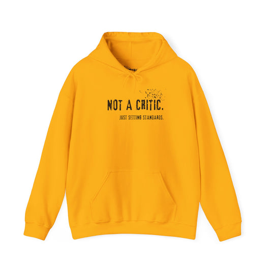 Not a Critic Just Setting Standards Hoodie