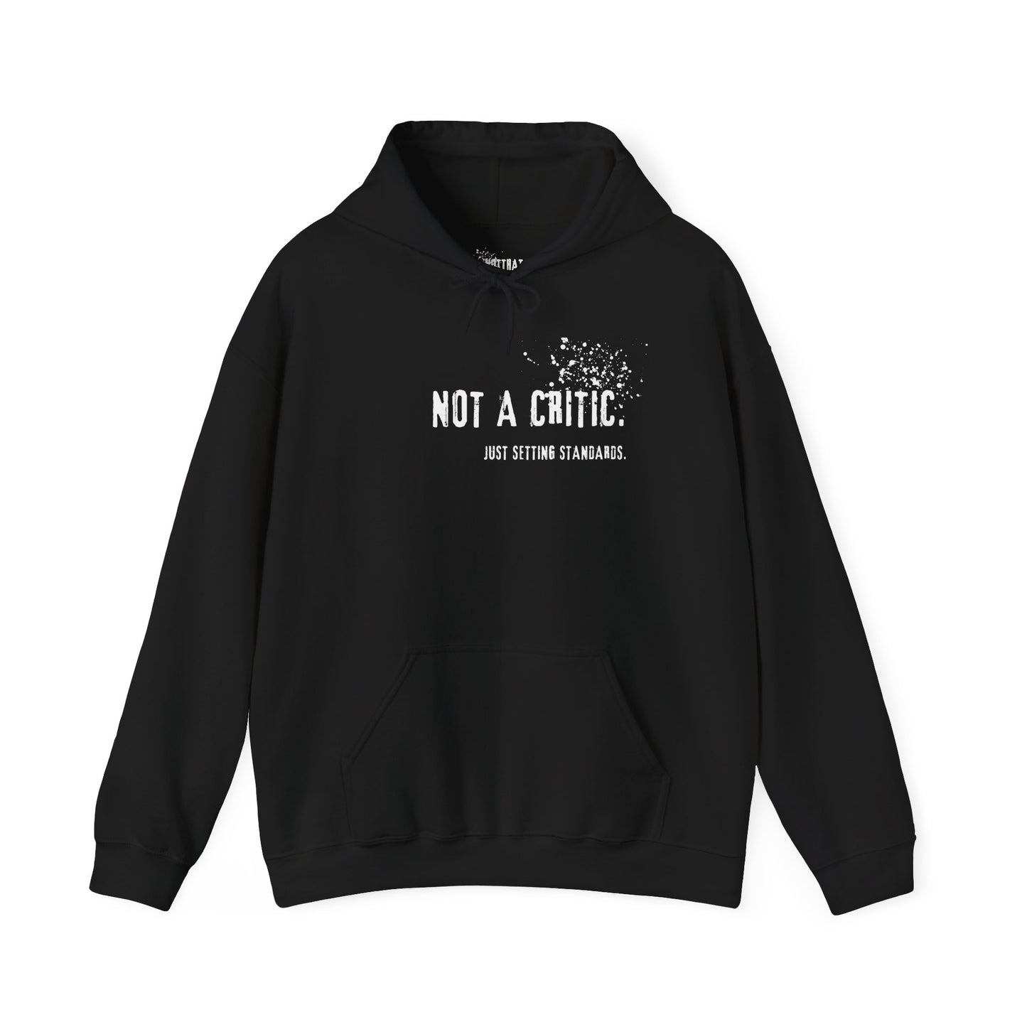 Not a Critic Just Setting Standards Hoodie