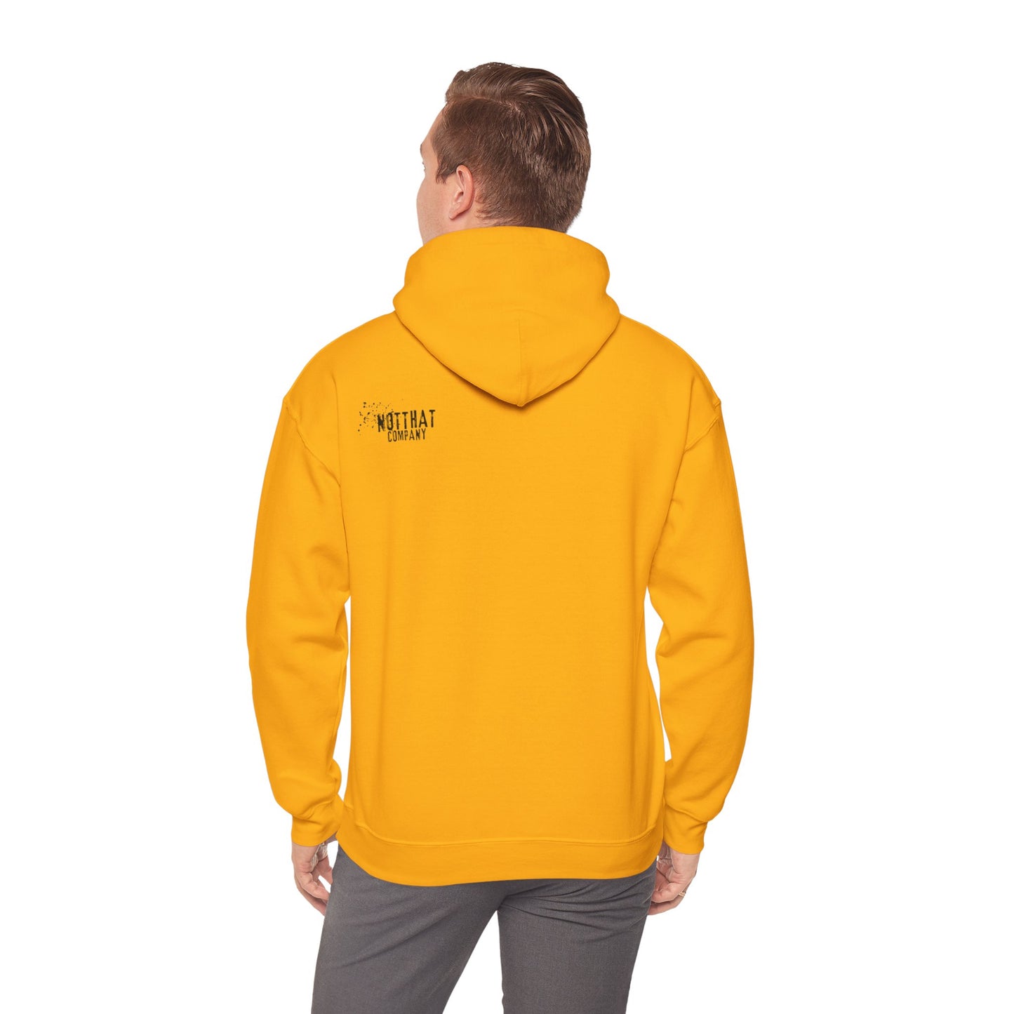 Not a Follower But I Have Lots of Them Hoodie