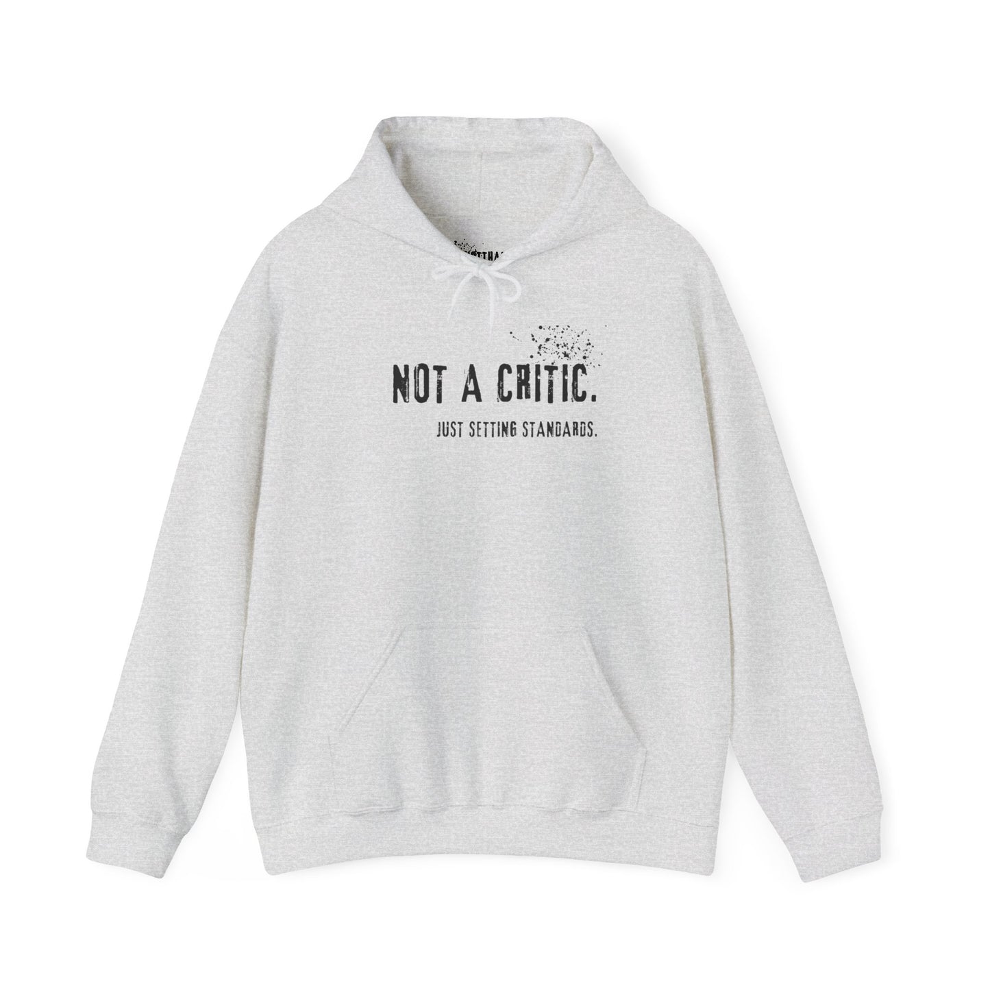 Not a Critic Just Setting Standards Hoodie
