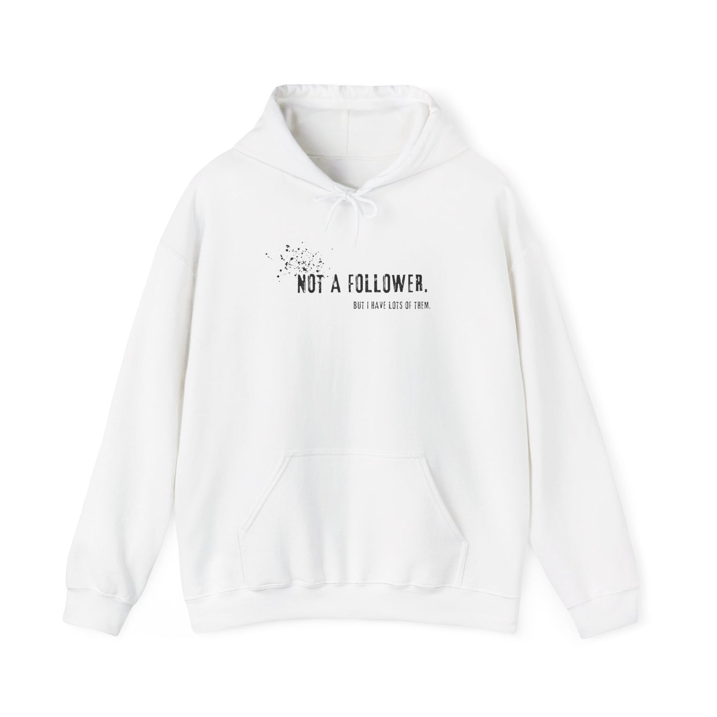 Not a Follower But I Have Lots of Them Hoodie