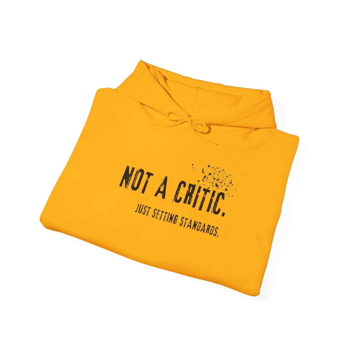 Not a Critic Just Setting Standards Hoodie