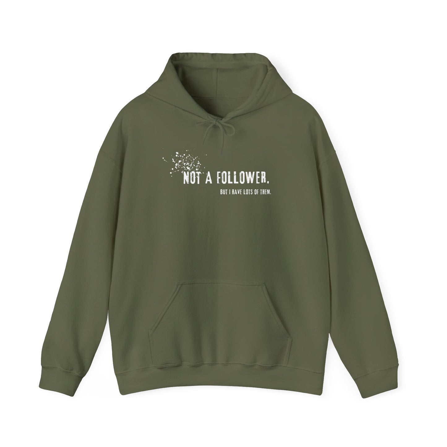 Not a Follower But I Have Lots of Them Hoodie