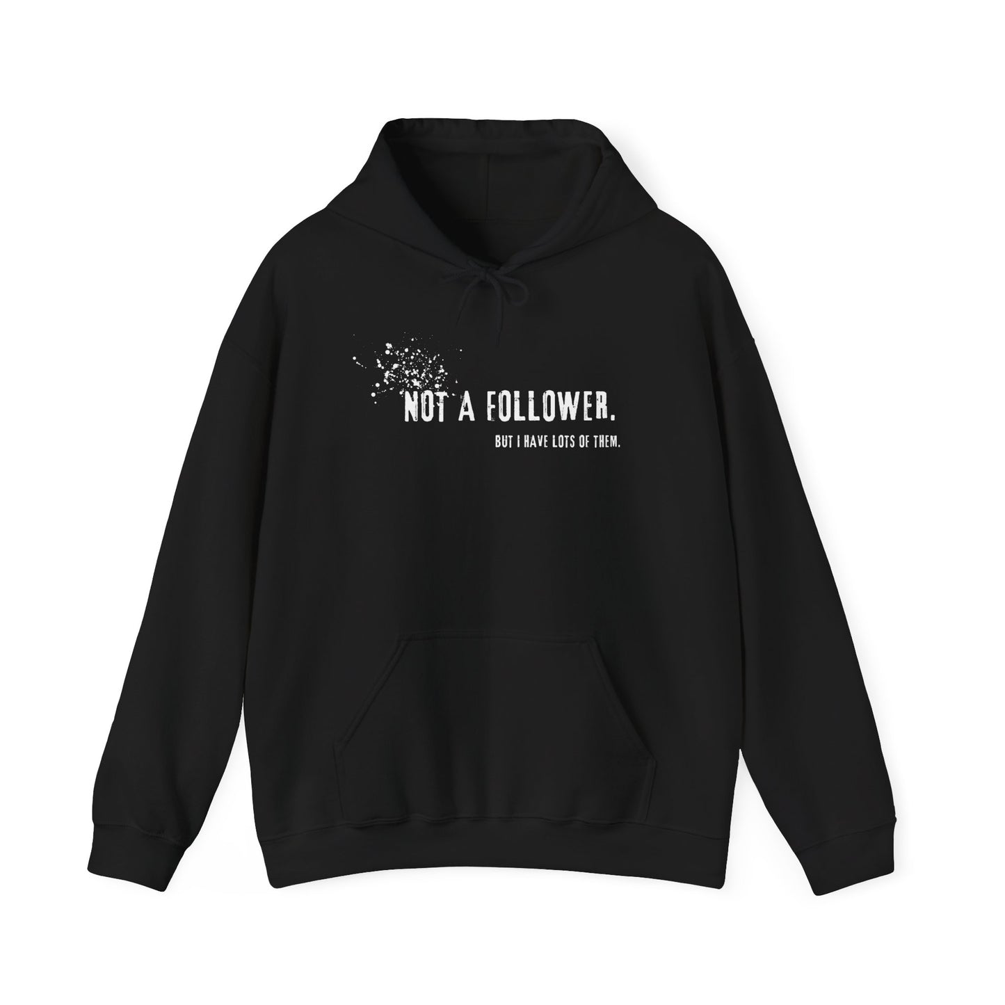 Not a Follower But I Have Lots of Them Hoodie