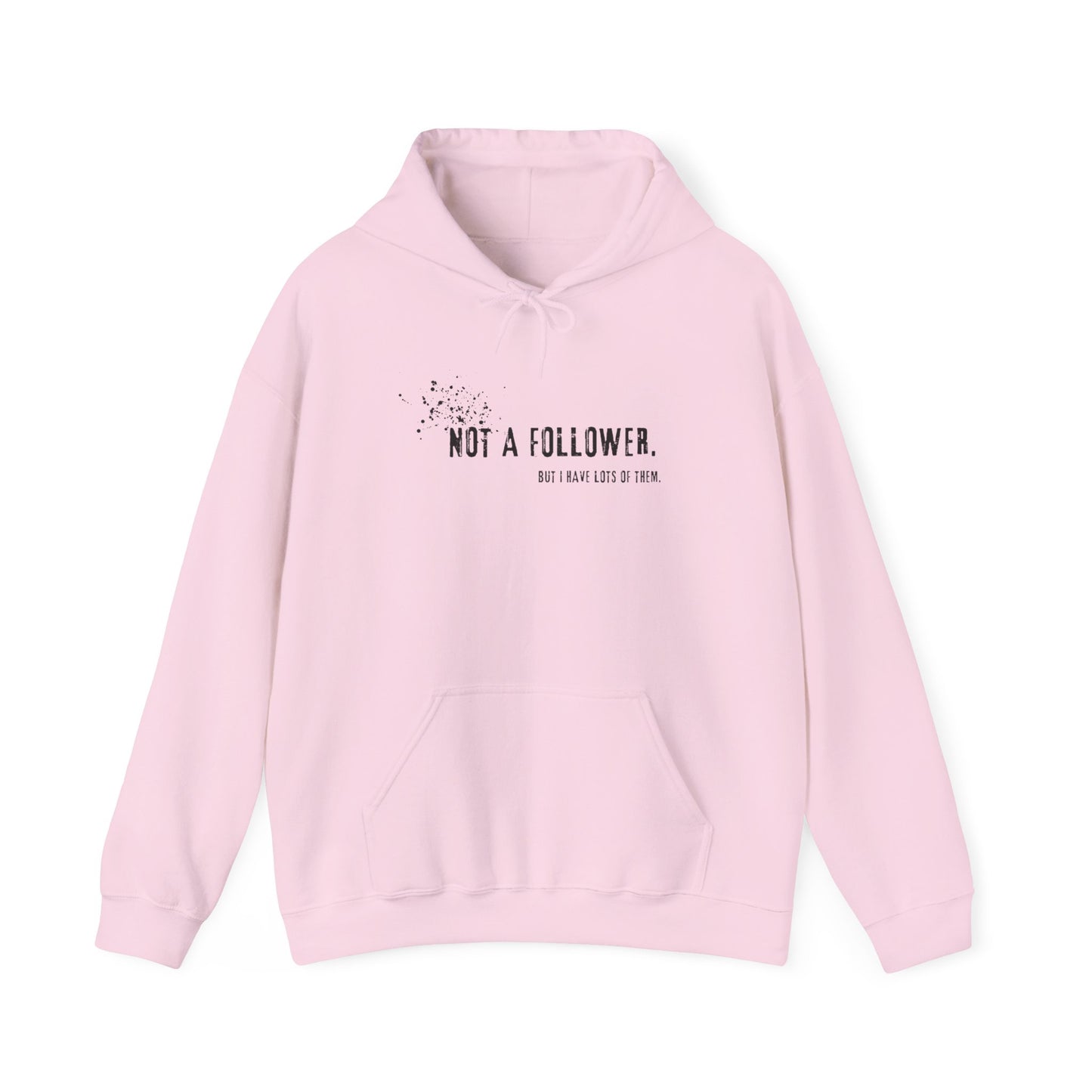 Not a Follower But I Have Lots of Them Hoodie
