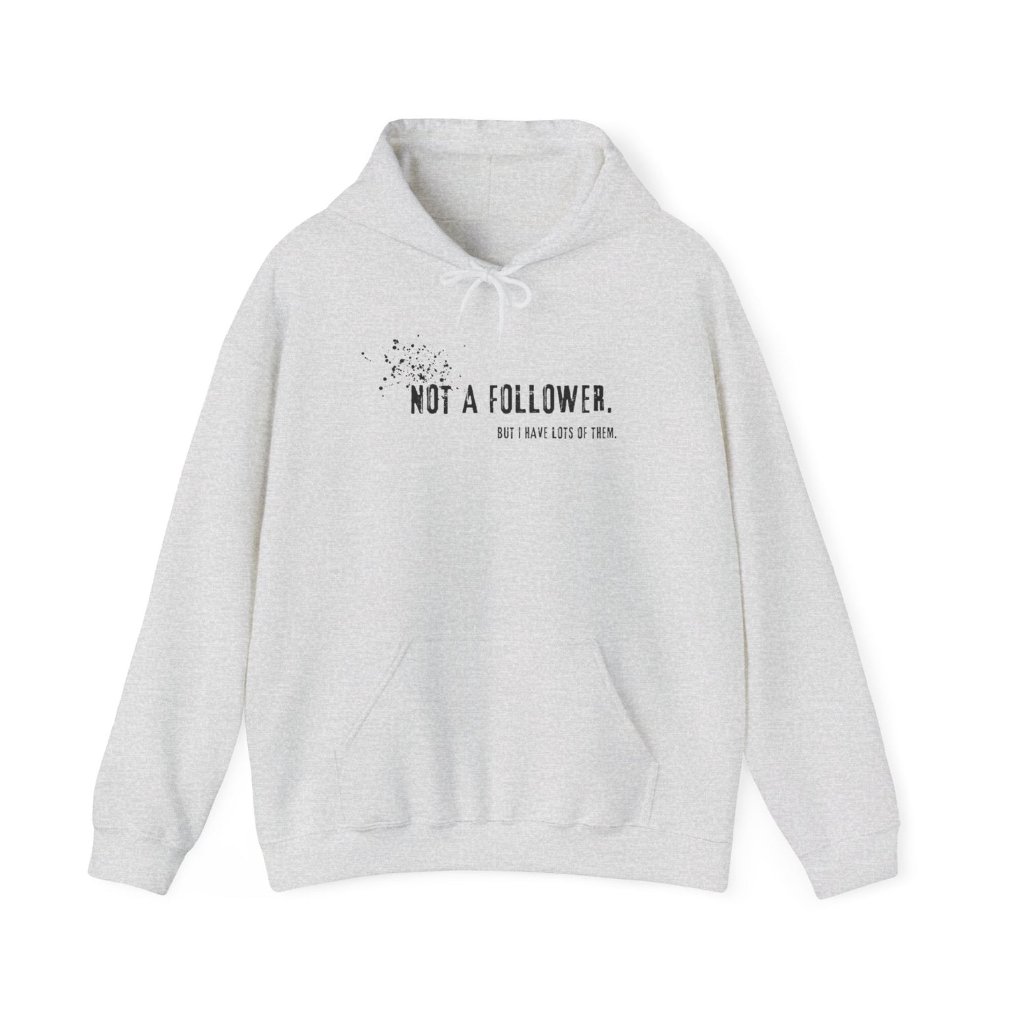 Not a Follower But I Have Lots of Them Hoodie
