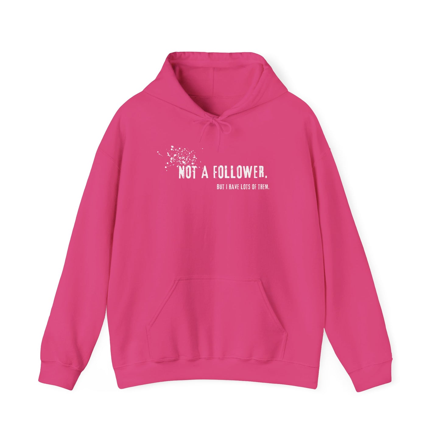 Not a Follower But I Have Lots of Them Hoodie