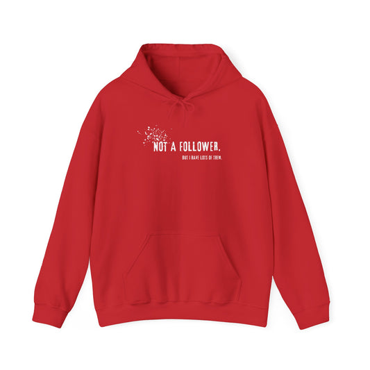 Not a Follower But I Have Lots of Them Hoodie