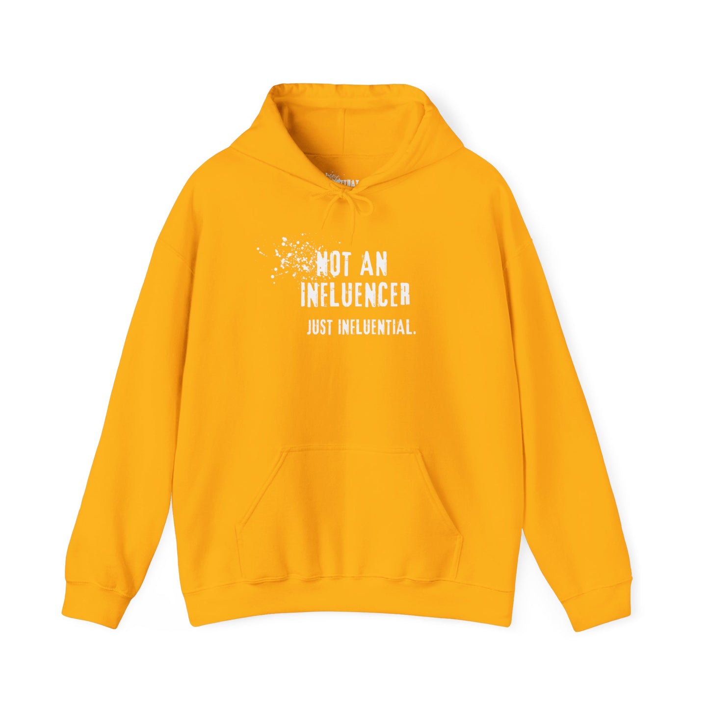 Not an Influencer Just Influential Hoodie