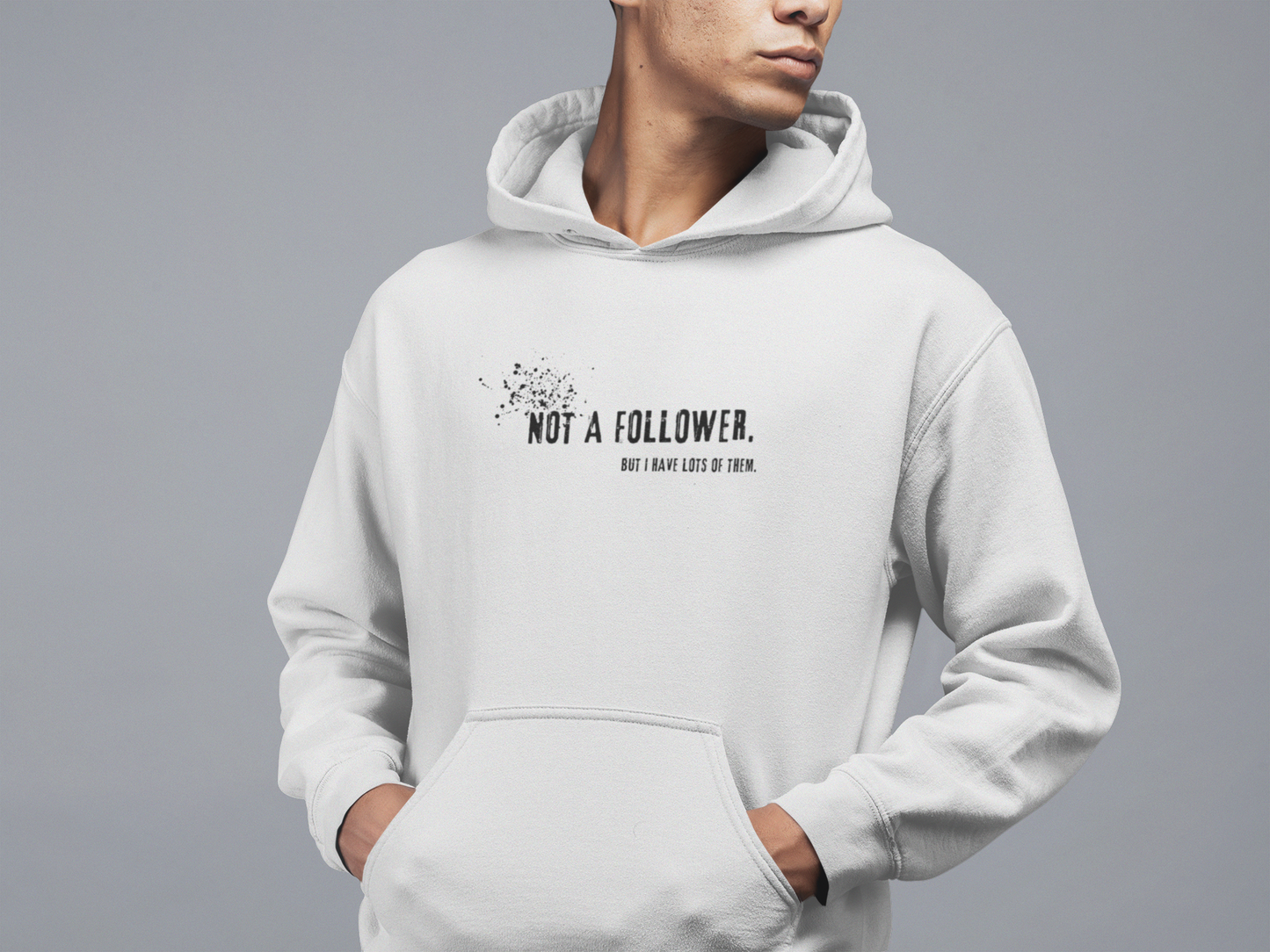 Not a Follower But I Have Lots of Them Hoodie